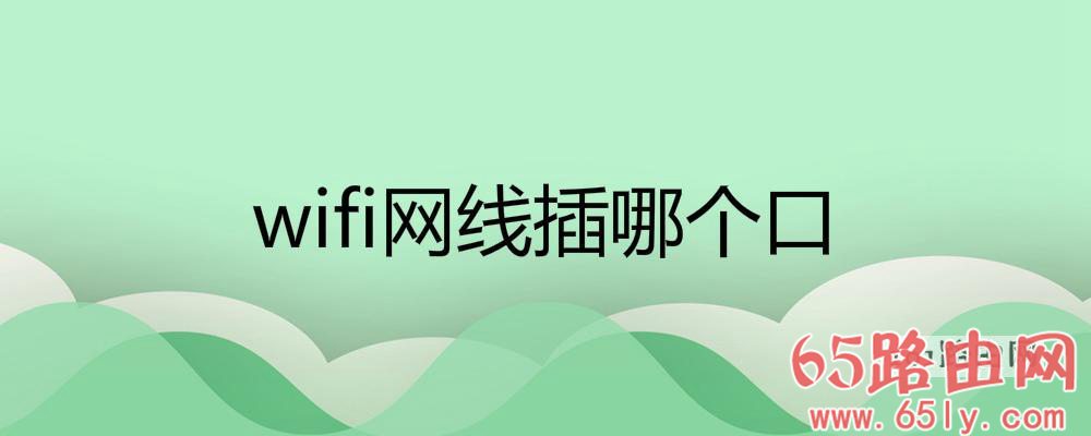 wifi网线插哪个口