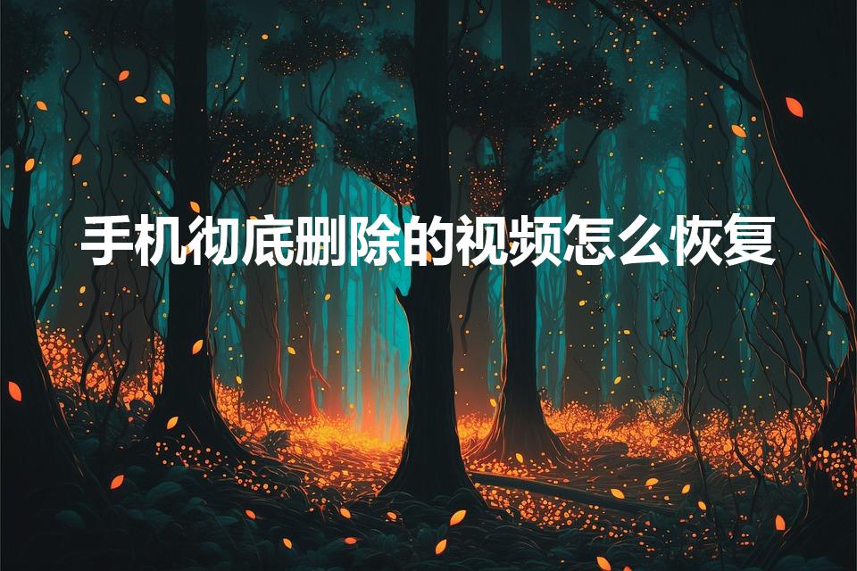 手机彻底删除的视频怎么恢复（恢复大师)