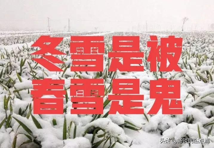 春天下雪好吗（民间说法关于春天二月雪花飘的预兆）