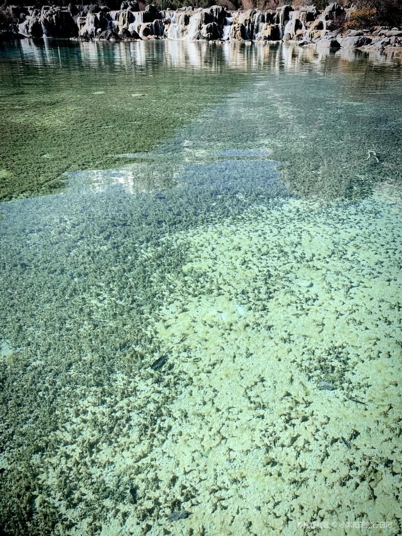 玉龙雪山海拔多少米(玉龙雪山海拔多少米高)