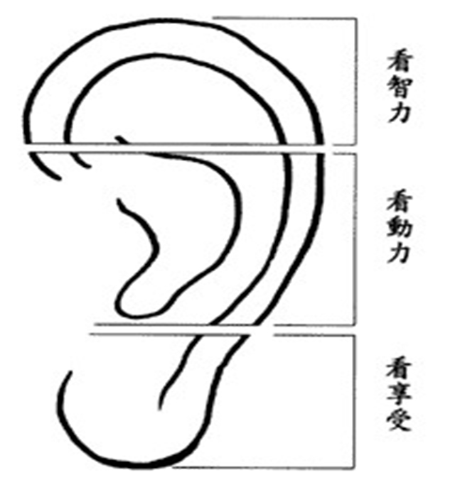 耳垂大的人就真的有福吗(耳朵大有福是真的吗)