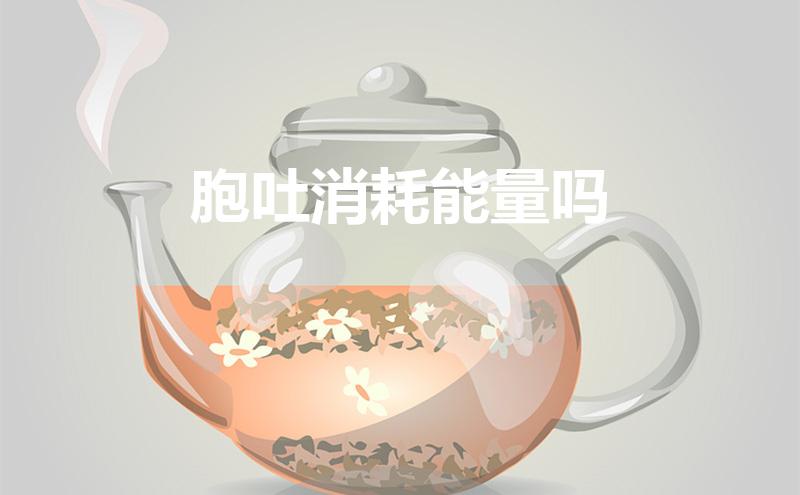 胞吐消耗能量吗(胞吞胞吐消耗能量吗)