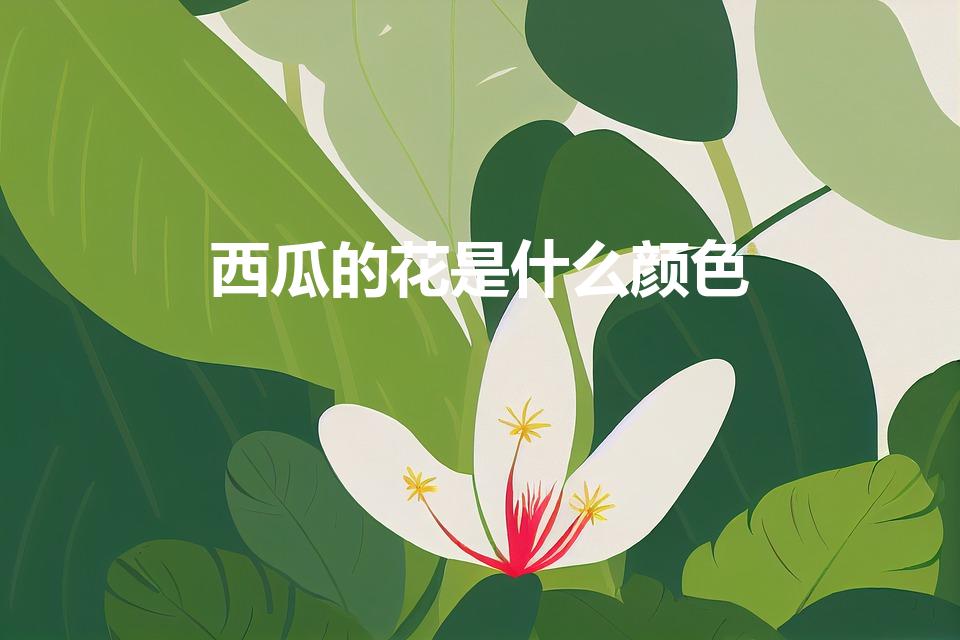 西瓜的花是什么颜色（西瓜的小花是什么颜色的)