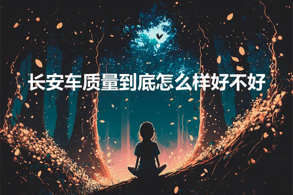 长安车质量到底怎么样好不好（长安汽车品质怎么样）