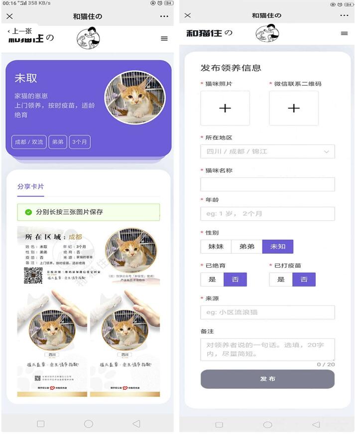 php流浪猫流浪狗宠物领养源码