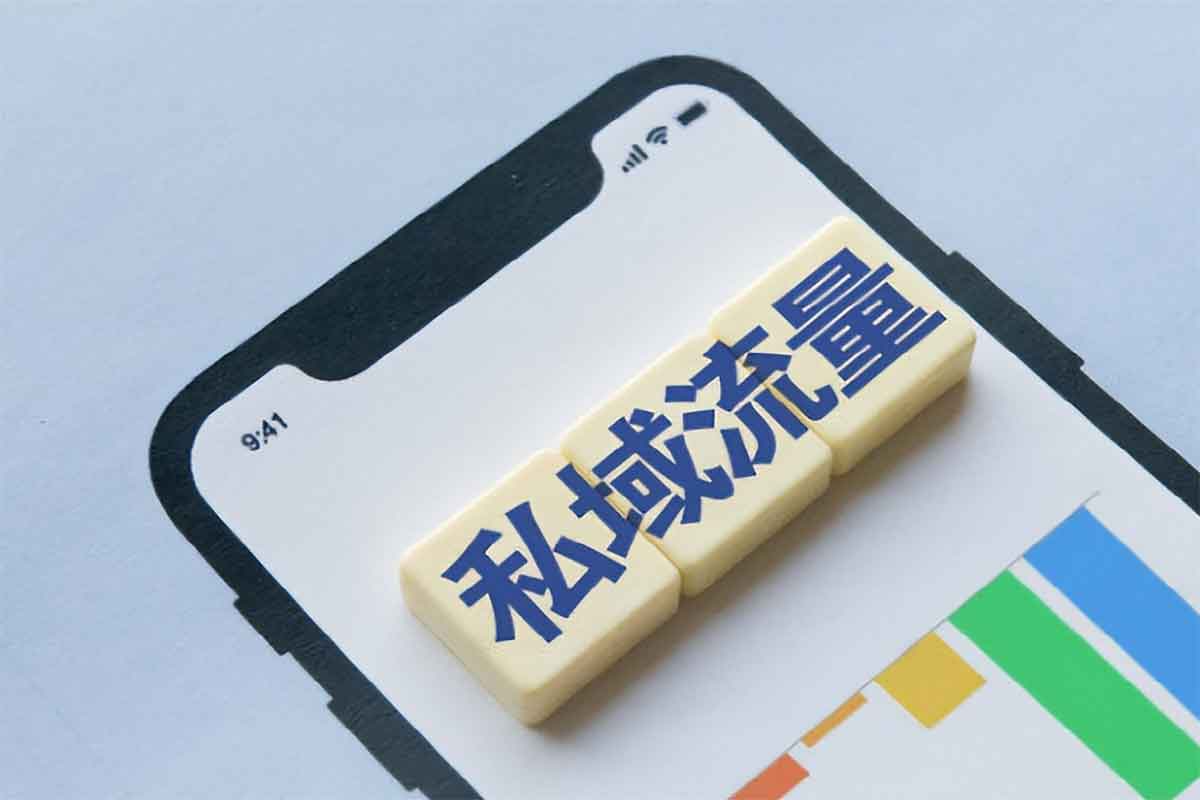 私域0基础入门课，全面掌握私域运营知识