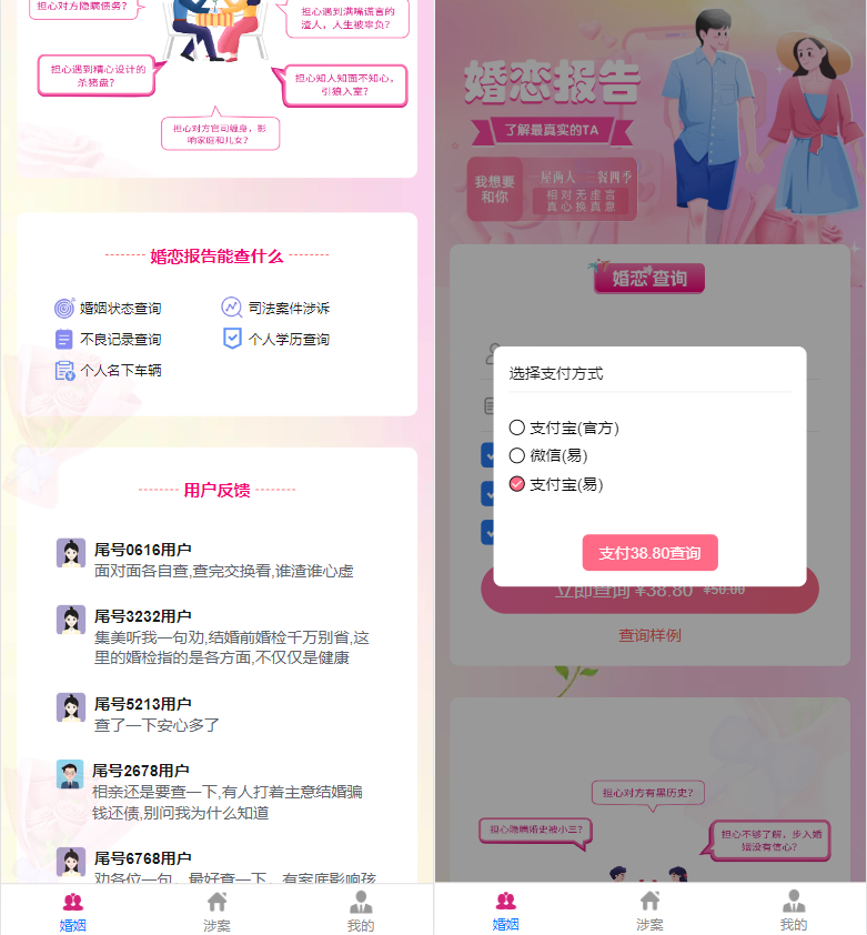 2.jpg 婚姻查询系统、个人企业案件涉诉案底查询系统网站源码