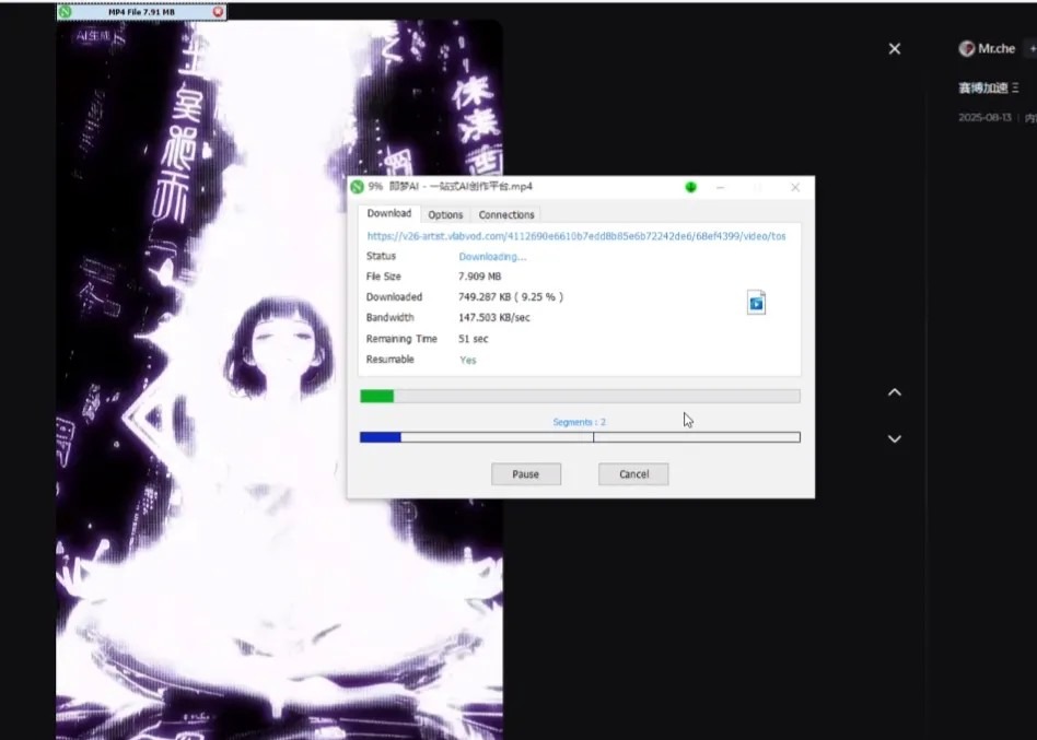 可灵--即梦--豆包--海螺视频去水印工具带视频教程